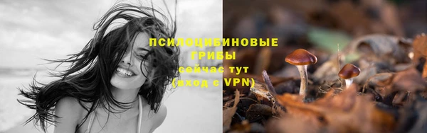 первитин Киренск