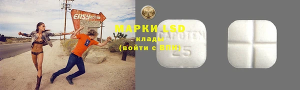 прущие грибы Киреевск