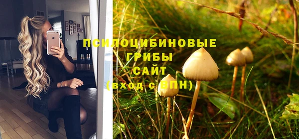 прущие грибы Киреевск